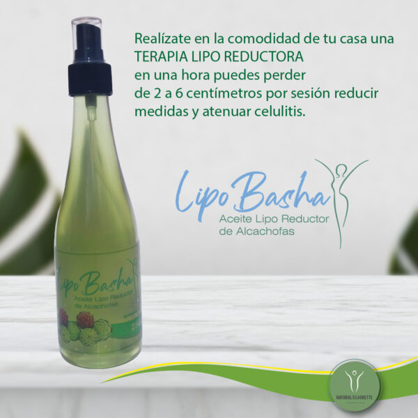 yeso lipolitico